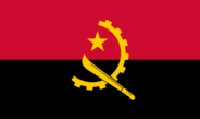 Puseletšo ya Bagale tša Angola